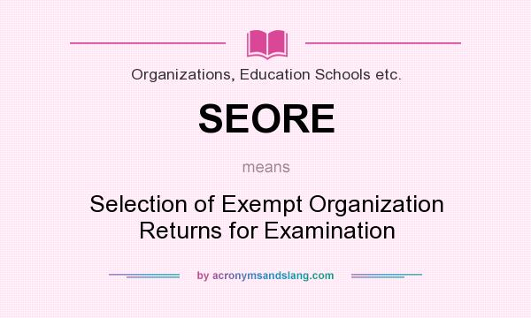 What does SEORE mean? It stands for Selection of Exempt Organization Returns for Examination