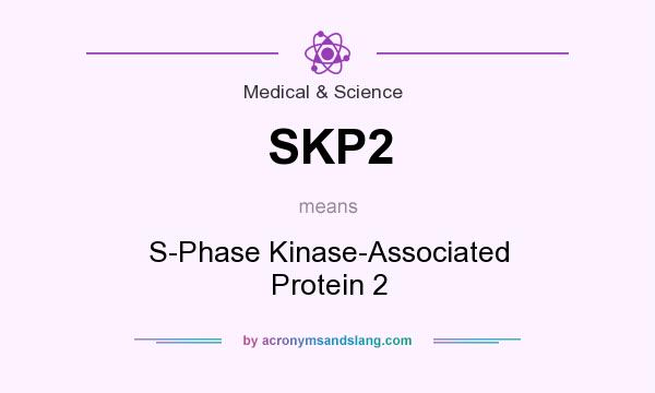 What does SKP2 mean? It stands for S-Phase Kinase-Associated Protein 2