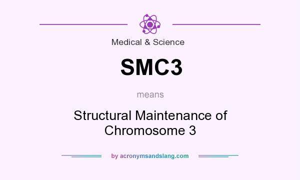 What does SMC3 mean? It stands for Structural Maintenance of Chromosome 3