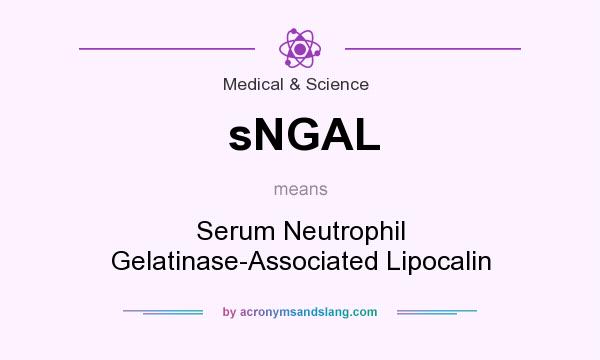 What does sNGAL mean? It stands for Serum Neutrophil Gelatinase-Associated Lipocalin