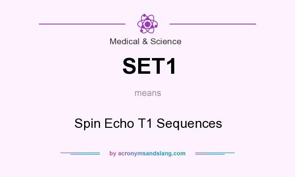 What does SET1 mean? It stands for Spin Echo T1 Sequences