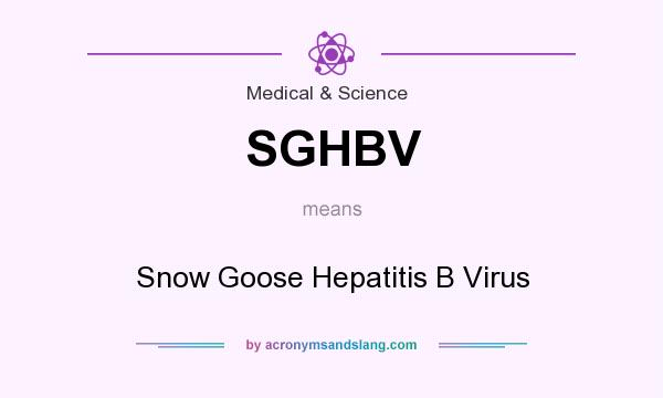 What does SGHBV mean? It stands for Snow Goose Hepatitis B Virus