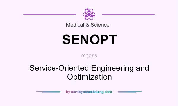 What does SENOPT mean? It stands for Service-Oriented Engineering and Optimization