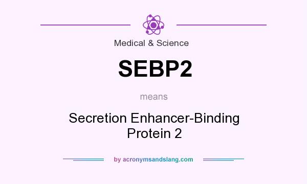 What does SEBP2 mean? It stands for Secretion Enhancer-Binding Protein 2