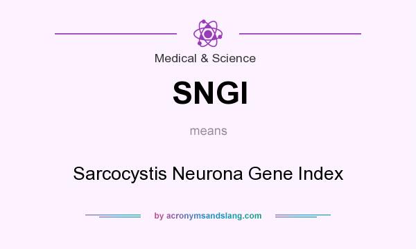 What does SNGI mean? It stands for Sarcocystis Neurona Gene Index