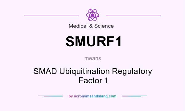 What does SMURF1 mean? It stands for SMAD Ubiquitination Regulatory Factor 1