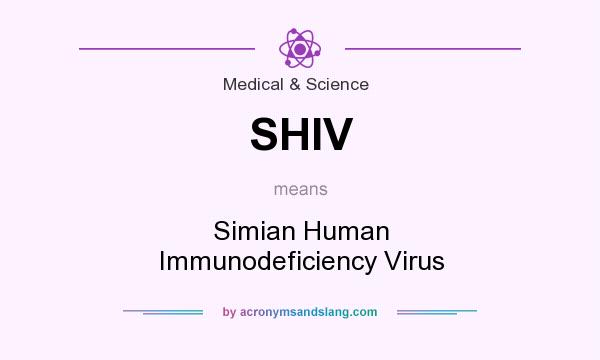 What does SHIV mean? It stands for Simian Human Immunodeficiency Virus