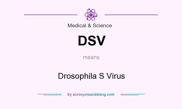 What does DSV mean? It stands for Drosophila S Virus