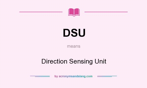 What does DSU mean? It stands for Direction Sensing Unit