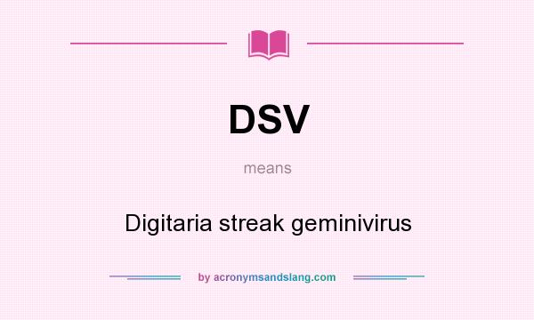 What does DSV mean? It stands for Digitaria streak geminivirus