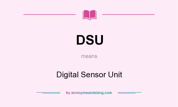 What does DSU mean? It stands for Digital Sensor Unit