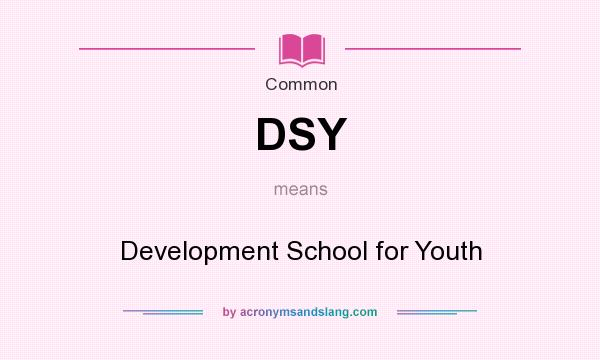 DSY Development School For Youth In Common By AcronymsAndSlang