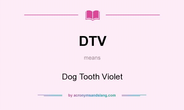 What does DTV mean? It stands for Dog Tooth Violet