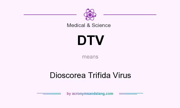 What does DTV mean? It stands for Dioscorea Trifida Virus
