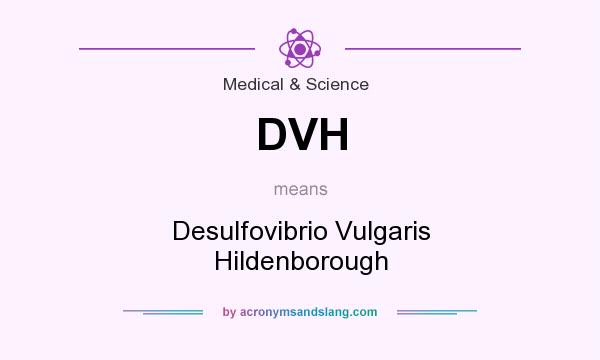 What does DVH mean? It stands for Desulfovibrio Vulgaris Hildenborough
