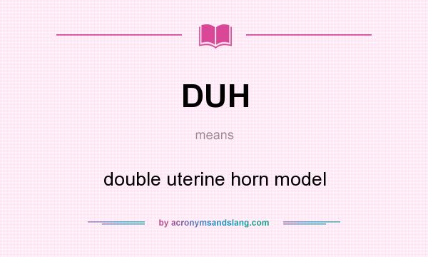What does DUH mean? It stands for double uterine horn model
