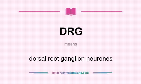 What does DRG mean? It stands for dorsal root ganglion neurones