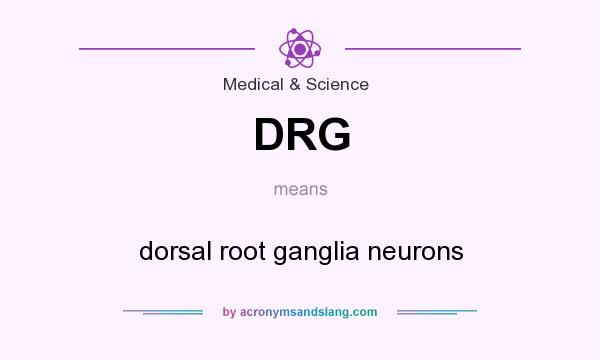 What does DRG mean? It stands for dorsal root ganglia neurons