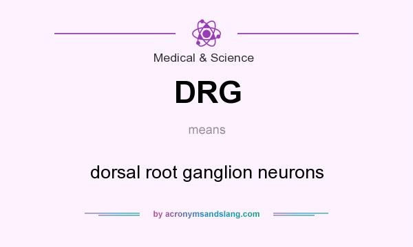What does DRG mean? It stands for dorsal root ganglion neurons