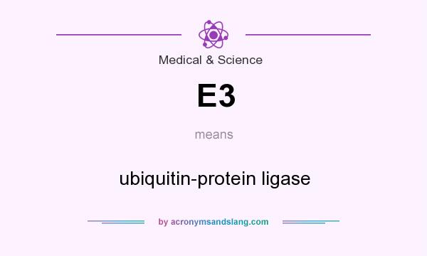 What does E3 mean? It stands for ubiquitin-protein ligase