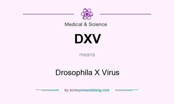 What does DXV mean? It stands for Drosophila X Virus