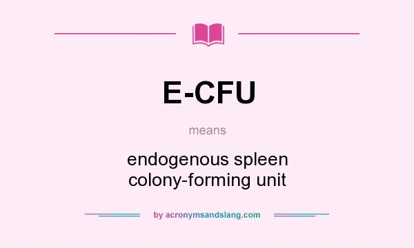 What does E-CFU mean? It stands for endogenous spleen colony-forming unit