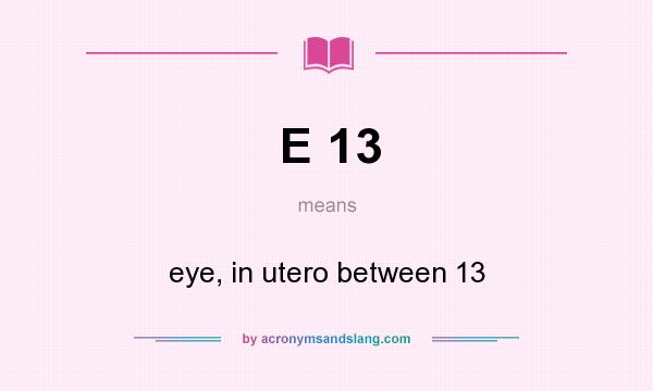 What does E 13 mean? It stands for eye, in utero between 13