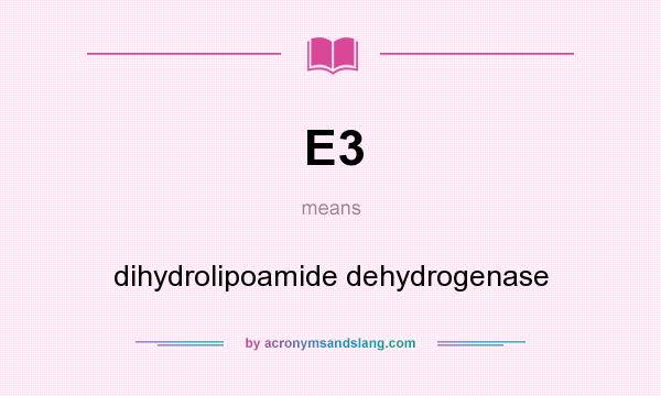What does E3 mean? It stands for dihydrolipoamide dehydrogenase