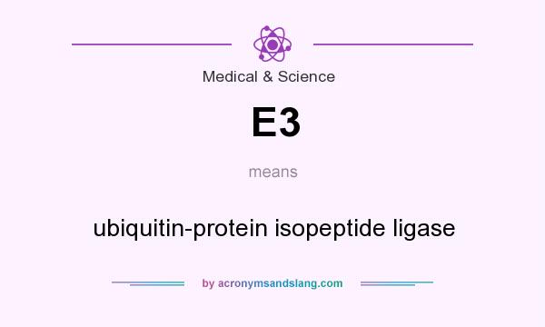 What does E3 mean? It stands for ubiquitin-protein isopeptide ligase