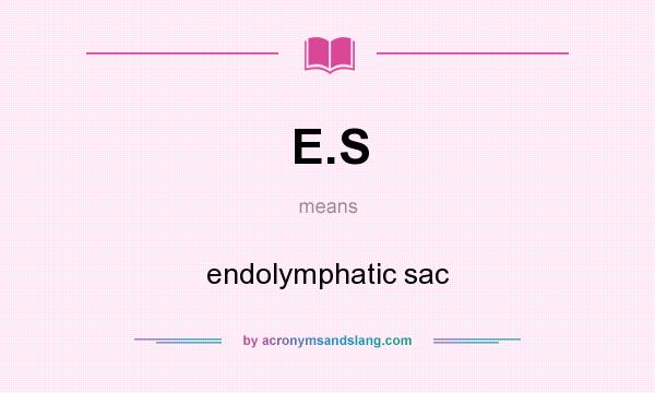 What does E.S mean? It stands for endolymphatic sac