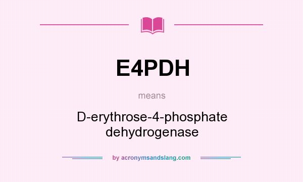 What does E4PDH mean? It stands for D-erythrose-4-phosphate dehydrogenase