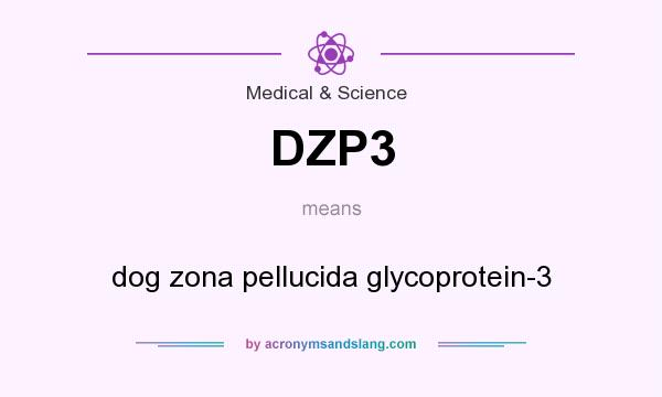 What does DZP3 mean? It stands for dog zona pellucida glycoprotein-3