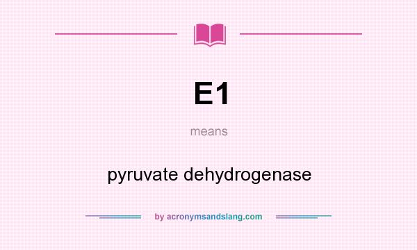 What does E1 mean? It stands for pyruvate dehydrogenase