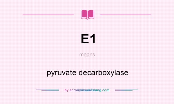 What does E1 mean? It stands for pyruvate decarboxylase
