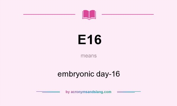What does E16 mean? It stands for embryonic day-16