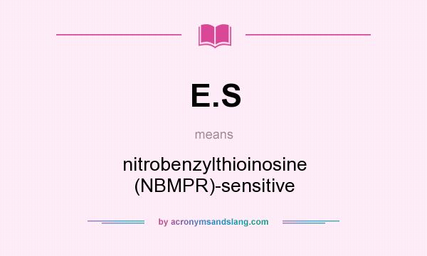 What does E.S mean? It stands for nitrobenzylthioinosine (NBMPR)-sensitive