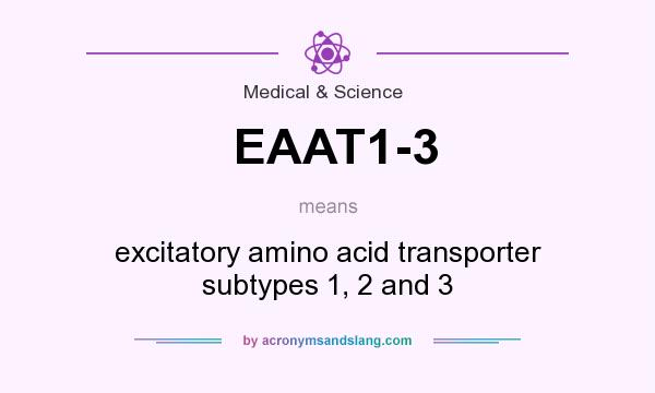 What does EAAT1-3 mean? It stands for excitatory amino acid transporter subtypes 1, 2 and 3