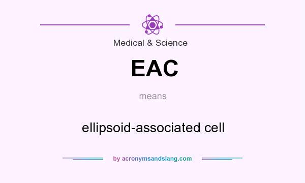 What does EAC mean? It stands for ellipsoid-associated cell