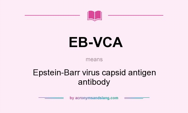 What does EB-VCA mean? It stands for Epstein-Barr virus capsid antigen antibody
