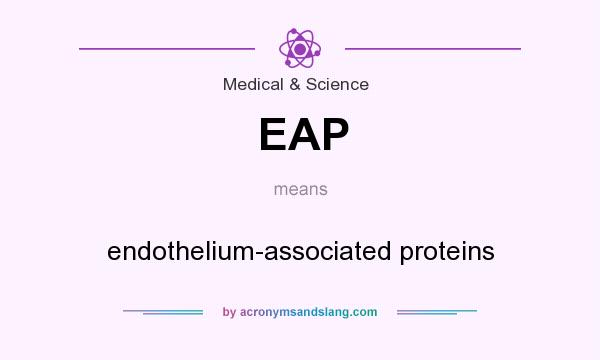 What does EAP mean? It stands for endothelium-associated proteins
