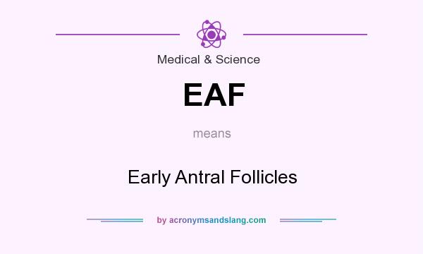 What does EAF mean? It stands for Early Antral Follicles
