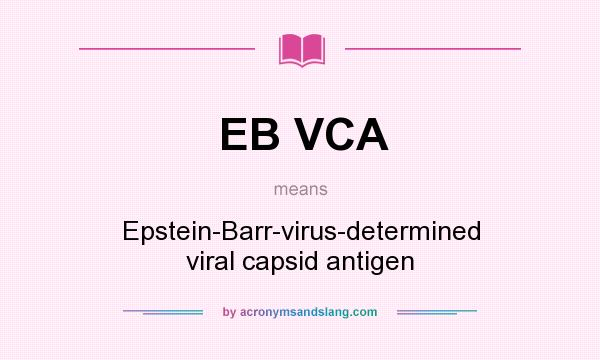 What does EB VCA mean? It stands for Epstein-Barr-virus-determined viral capsid antigen