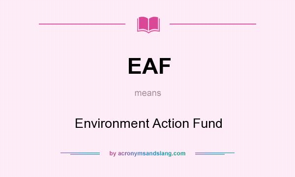 What does EAF mean? It stands for Environment Action Fund