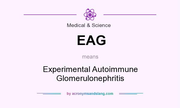 What does EAG mean? It stands for Experimental Autoimmune Glomerulonephritis