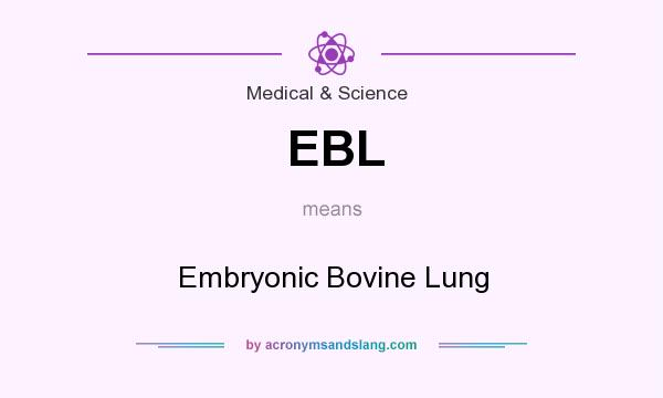 What does EBL mean? It stands for Embryonic Bovine Lung