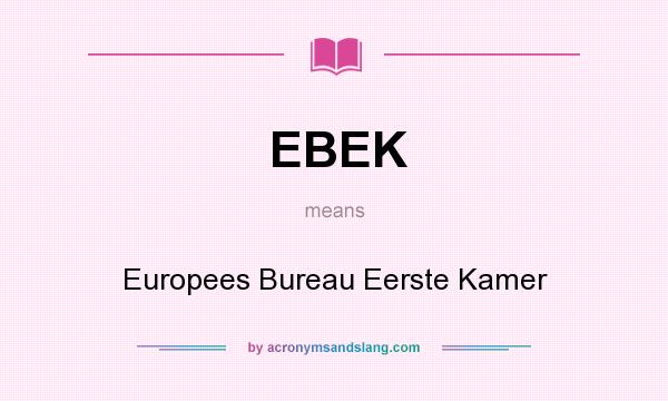 What does EBEK mean? It stands for Europees Bureau Eerste Kamer
