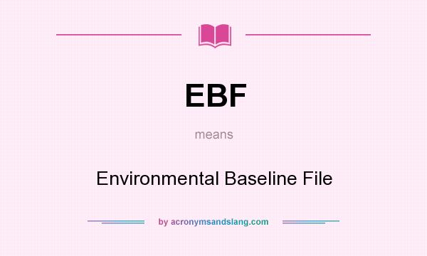 What does EBF mean? It stands for Environmental Baseline File