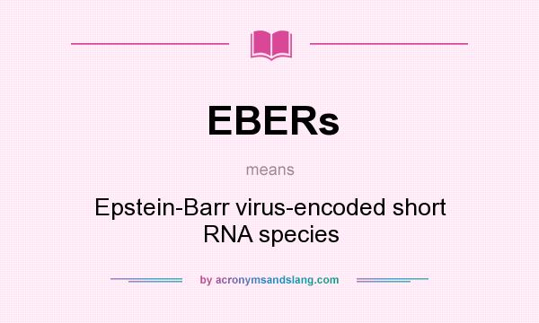 What does EBERs mean? It stands for Epstein-Barr virus-encoded short RNA species