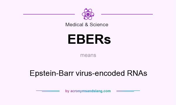 What does EBERs mean? It stands for Epstein-Barr virus-encoded RNAs