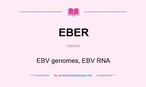 What does EBER mean? It stands for EBV genomes, EBV RNA
